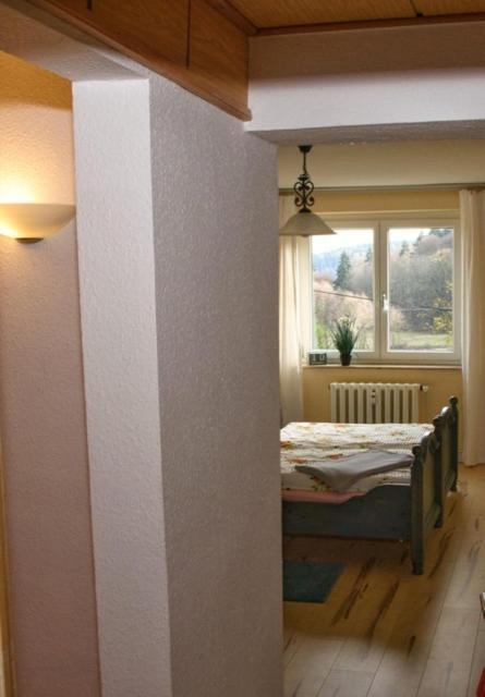 Ferienwohnung Wolf Gräfenroda Екстериор снимка